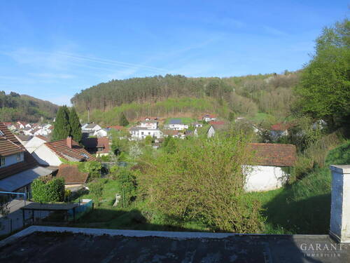 IMG 1683 - 