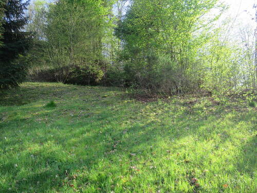 IMG 1688 - 