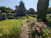 Blick in den Garten - 