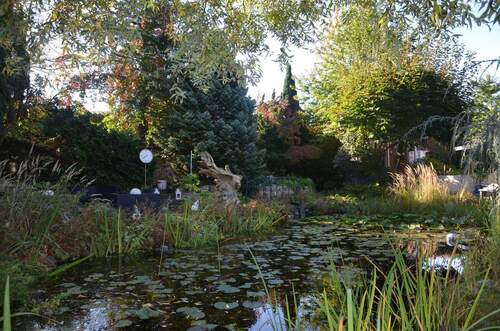 Teich-Oase - Einfamilienhaus mit 244,00 m² in Berlin zum Kaufen