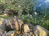 Garten mit Brunnen - 