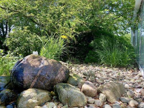 Garten mit Brunnen - 