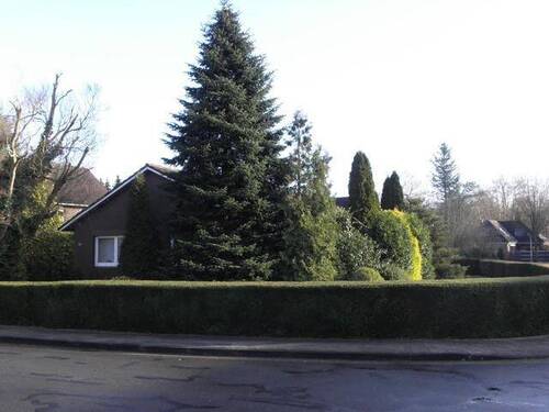 Ansicht Straße - Ihr Zuhause ! EFH in ruhiger Siedlungslage sucht Mieter