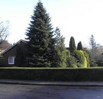 Ihr Zuhause ! EFH in ruhiger Siedlungslage sucht Mieter - Weener