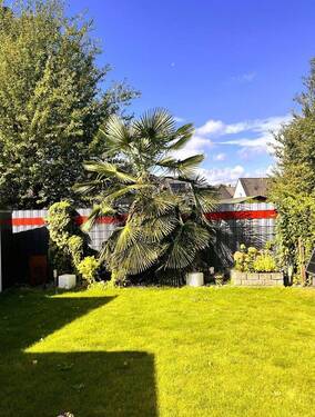 Blick in den Garten - 