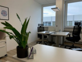 Projekt Büro - Büro zur Miete in Wiesbaden