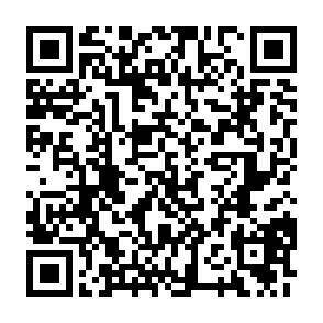 QR-Code - 