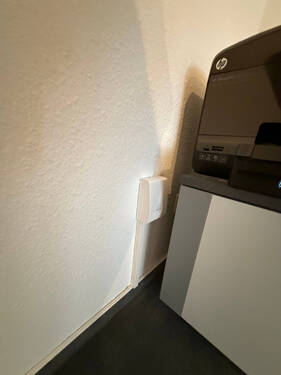 IMG_5412 - 