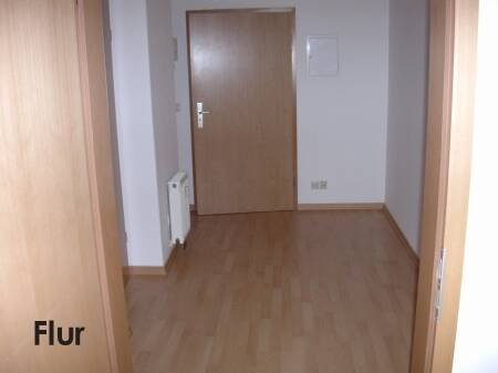 Klopstock_41_WE_06_Flur.jpg - Etagenwohnung mit 50,00 m&sup2; in Dresden zur Miete