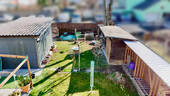 Blick in den Garten - 