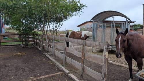 IMG-20251020-WA0015.jpg - 