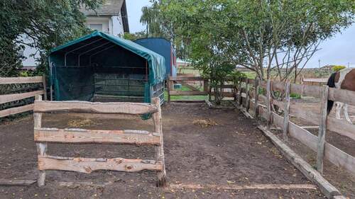 IMG-20251020-WA0007.jpg - 