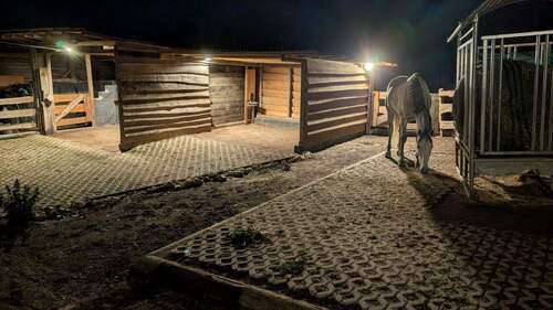 IMG-20251020-WA0003.jpg - 