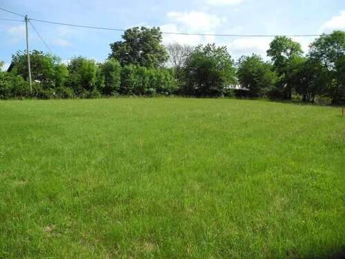 3-1.jpeg - Grundstück in Plascheid