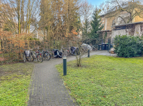 Hinterhof - 