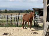 Traumblick und naturnah - 