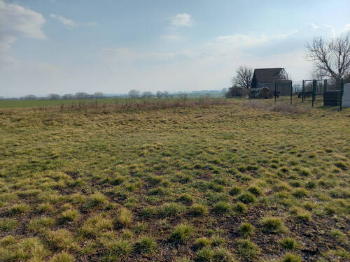 Grundstück Blick aufs Feld, Richtung Südwest - 5 Zimmer Einfamilienhaus zum Kaufen in Großrudestedt