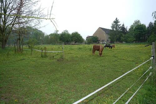Pferdewiese - 