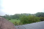 Blick von den Scheunendächern auf den Wald - 