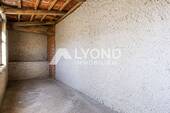 Schuppen - 