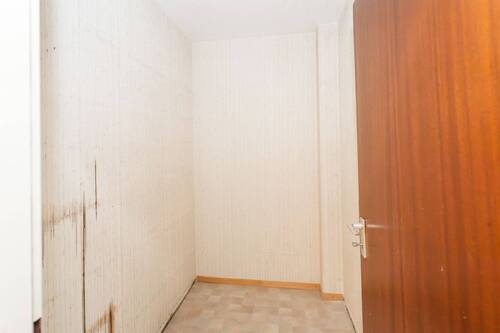 Speis - 