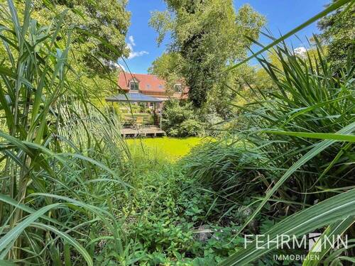 Teich - 