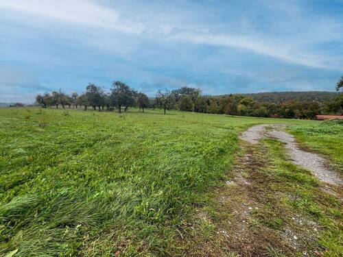 Grundstück - Einfamilienhaus mit 160,00 m² in Neuenstein zum Kaufen