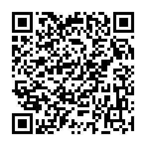 QR-Code - 