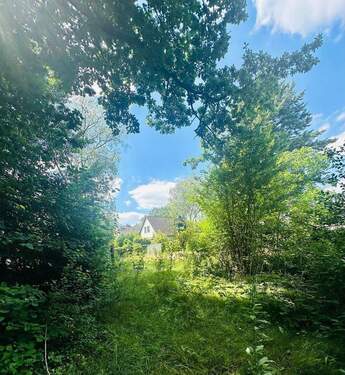 Traumgrundstück - Grundstück zum Kaufen in Ellerbek