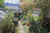 ... Gartenbereich ... - 