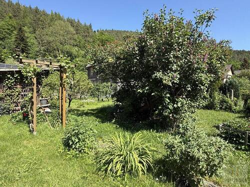 Garten - 