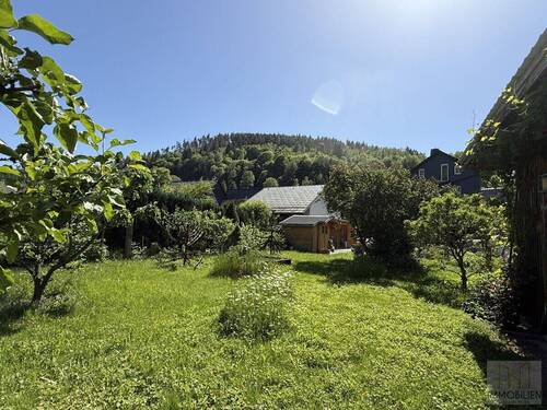 Blick in den Garten - 
