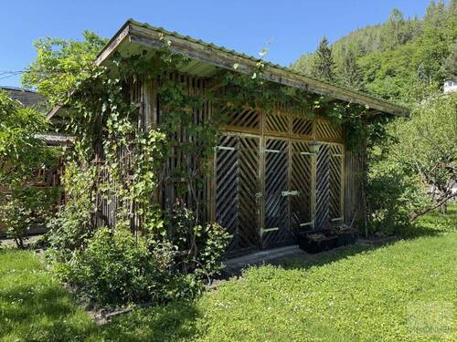 Schuppen - 