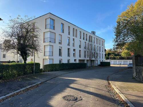 WhatsApp Image 2025-11-03 at 09.40.40.jpeg - 