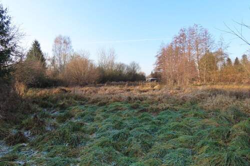 IMG_1610 - Großes Gartengrundstück in zentraler Lage