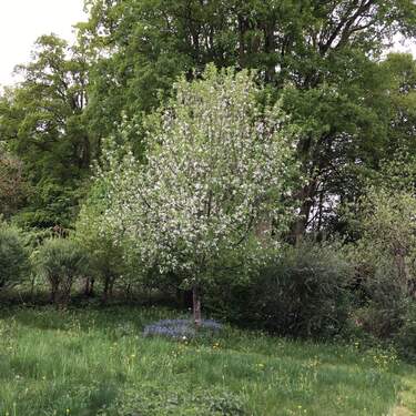 So siehts bald aus - 