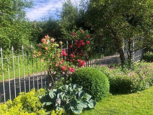 Ein Traum in der Natur - 