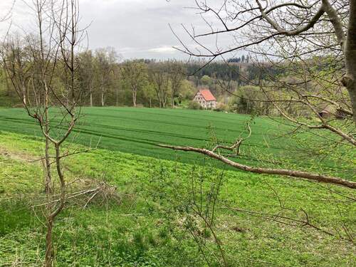 Mit der Natur verbunden - 