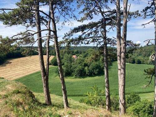 Schönste Umgebung - 
