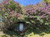 Bild12 - 