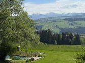 Bild19 - 