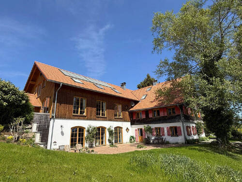 Bild7 - 