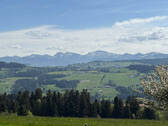 Bild9 - 