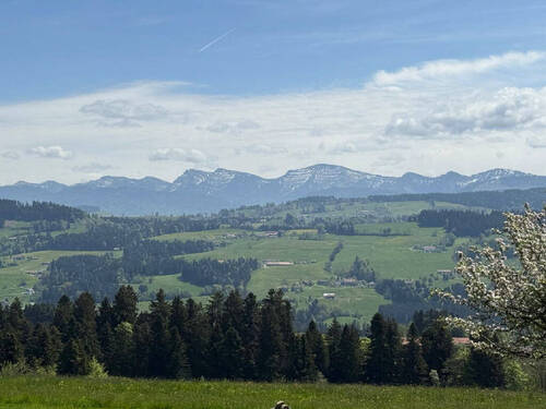 Bild9 - 