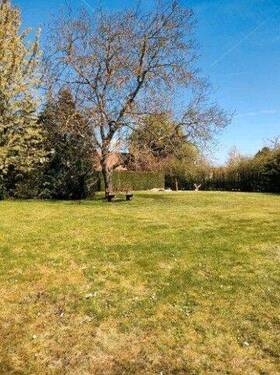 Garten - 4 Zimmer Einfamilienhaus zum Kaufen in Erfurt