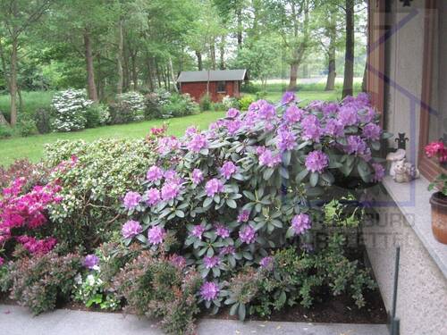 Blick zum Gartenhaus - 