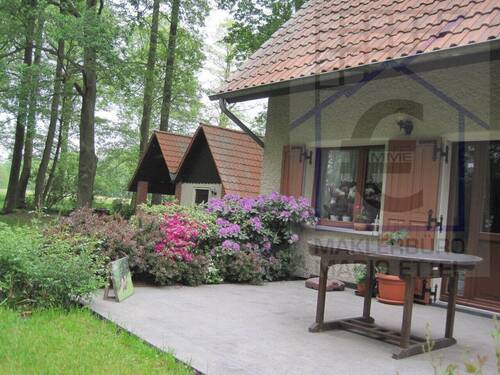 Ansicht Terrasse 2 - Mehrfamilienhaus, Wohnhaus mit 54,00 m² in Burg (Spreewald) / Burg Kauper zum Kaufen