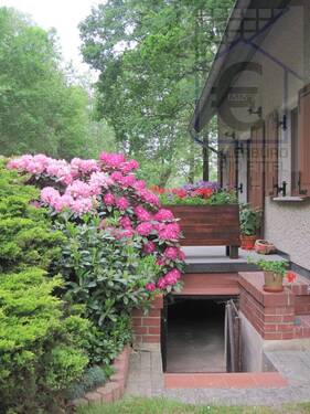 Ansicht Terrasse von vorn - 