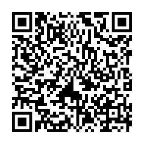 QR-Code - 