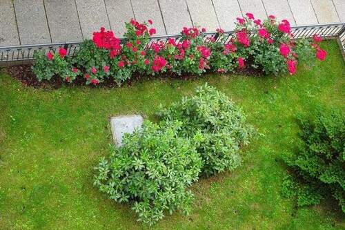 Blick auf Vorgarten (800x533).jpg - 